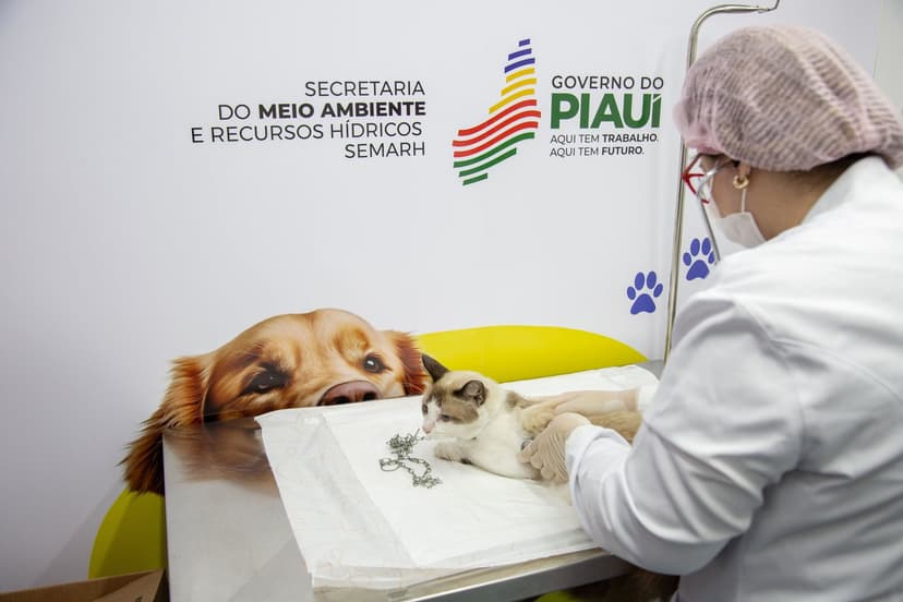 primeira-edicao-2024-do-piaui-pet-castramovel-realiza-mais-de-500-atendimentos-em-teresina