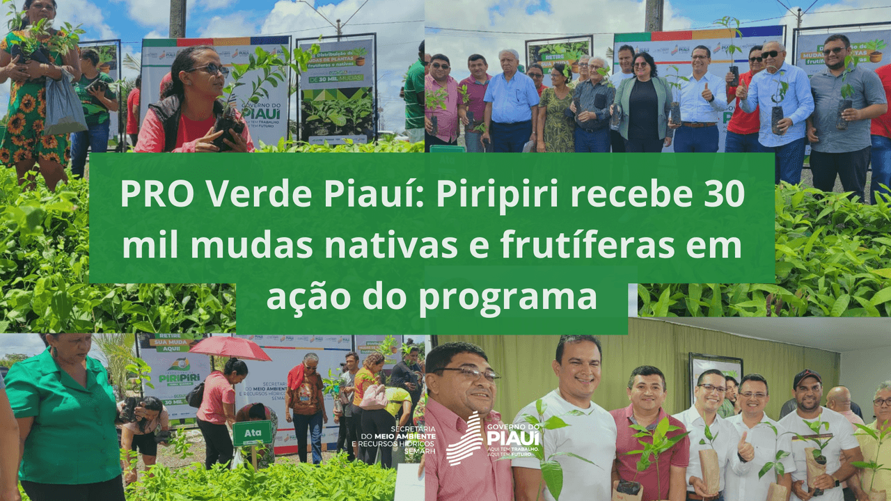PRO Verde Piauí: Piripiri recebe 30 mil mudas nativas e frutíferas em ação do programa