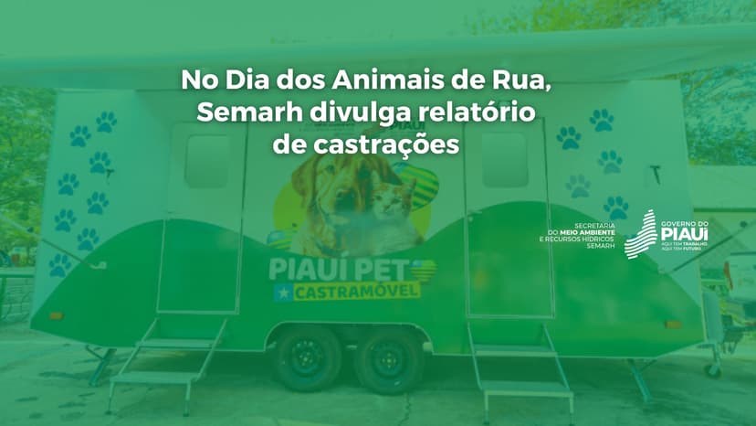 no-dia-dos-animais-de-rua-semarh-divulga-relatorio-de-castracoe