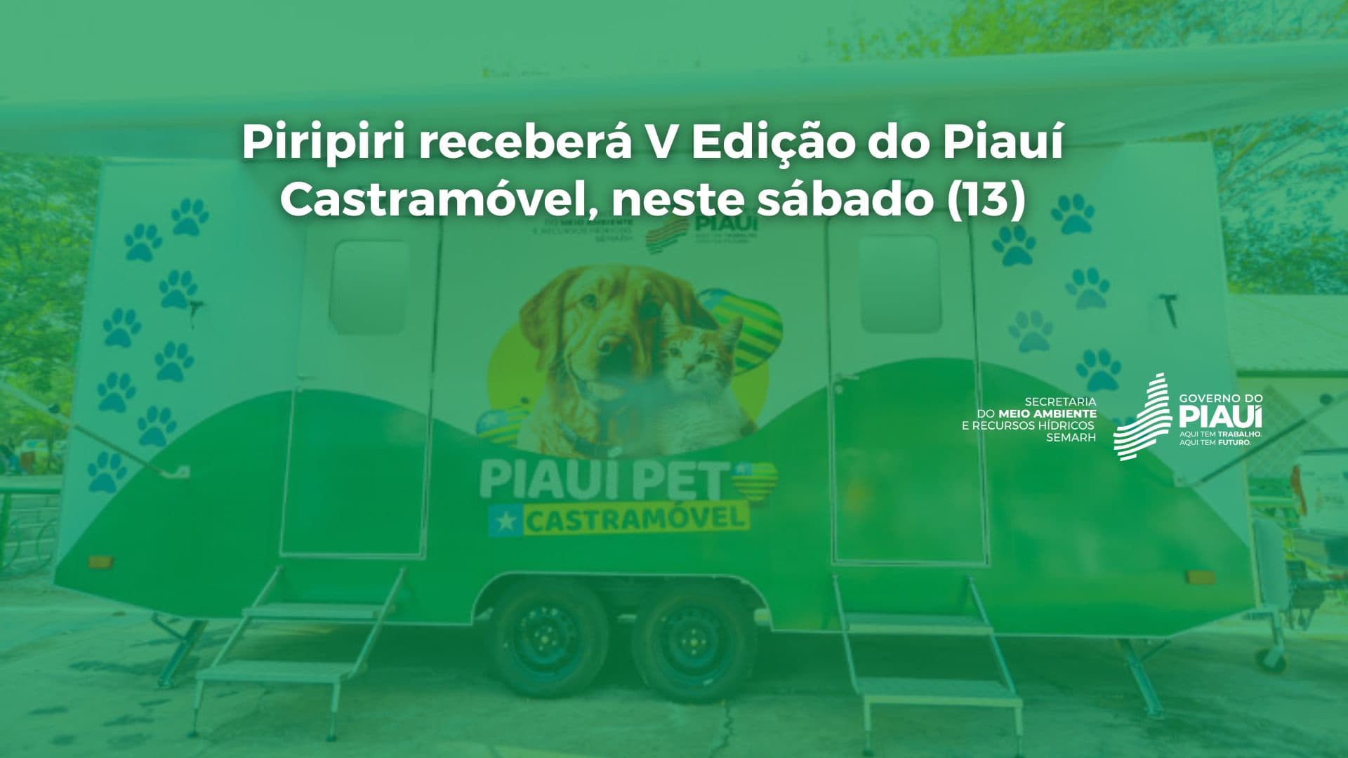 Piripiri receberá V Edição do Piauí Pet Castramóvel, neste sábado (13)