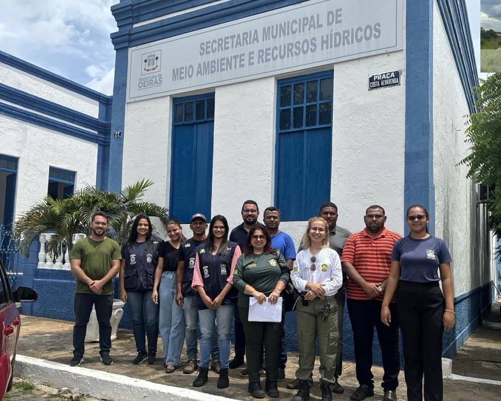 Auditoria de Constatação