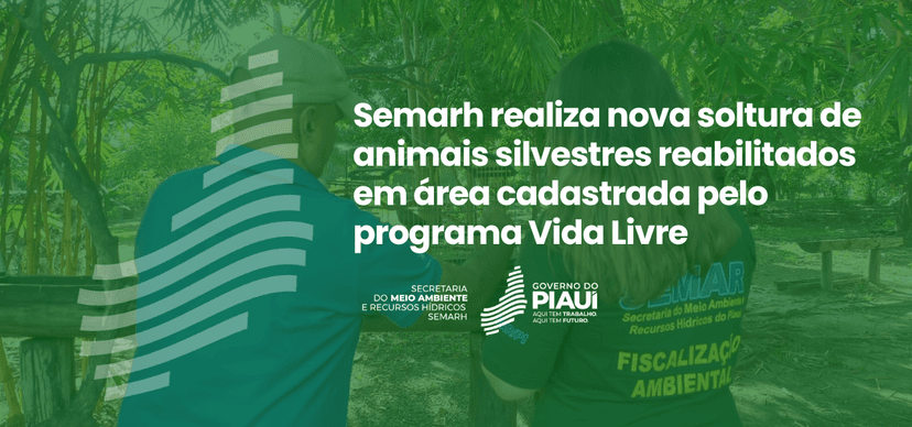 semarh-realiza-nova-soltura-de-animais-silvestres-reabilitados-em-area-cadastrada-pelo-programa-vida-livre