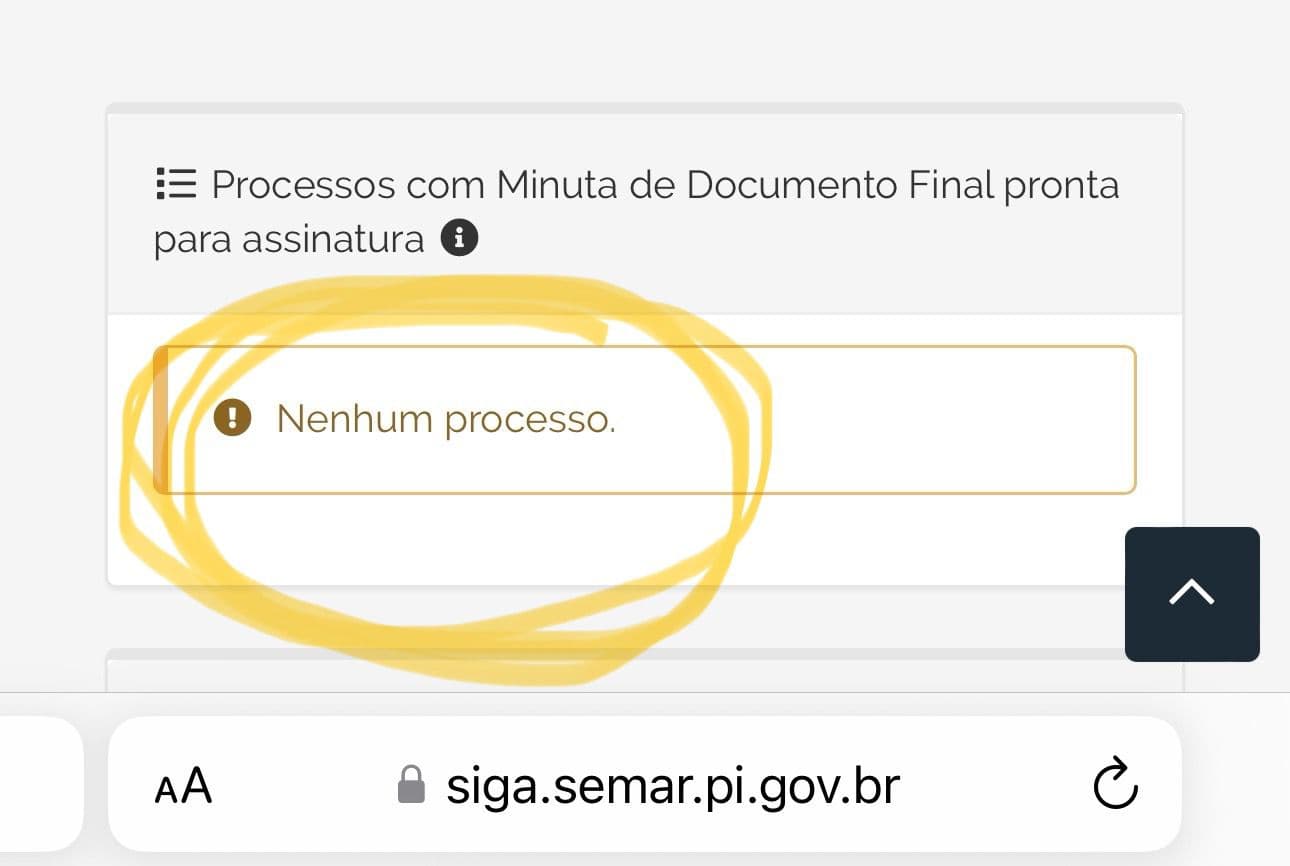 Processos 100% concluídos
