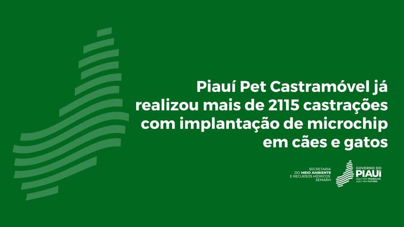 piaui-pet-castramovel-ja-realizou-mais-de-2115-castracoes-com-implantacao-de-microchip-em-caes-e-gatos