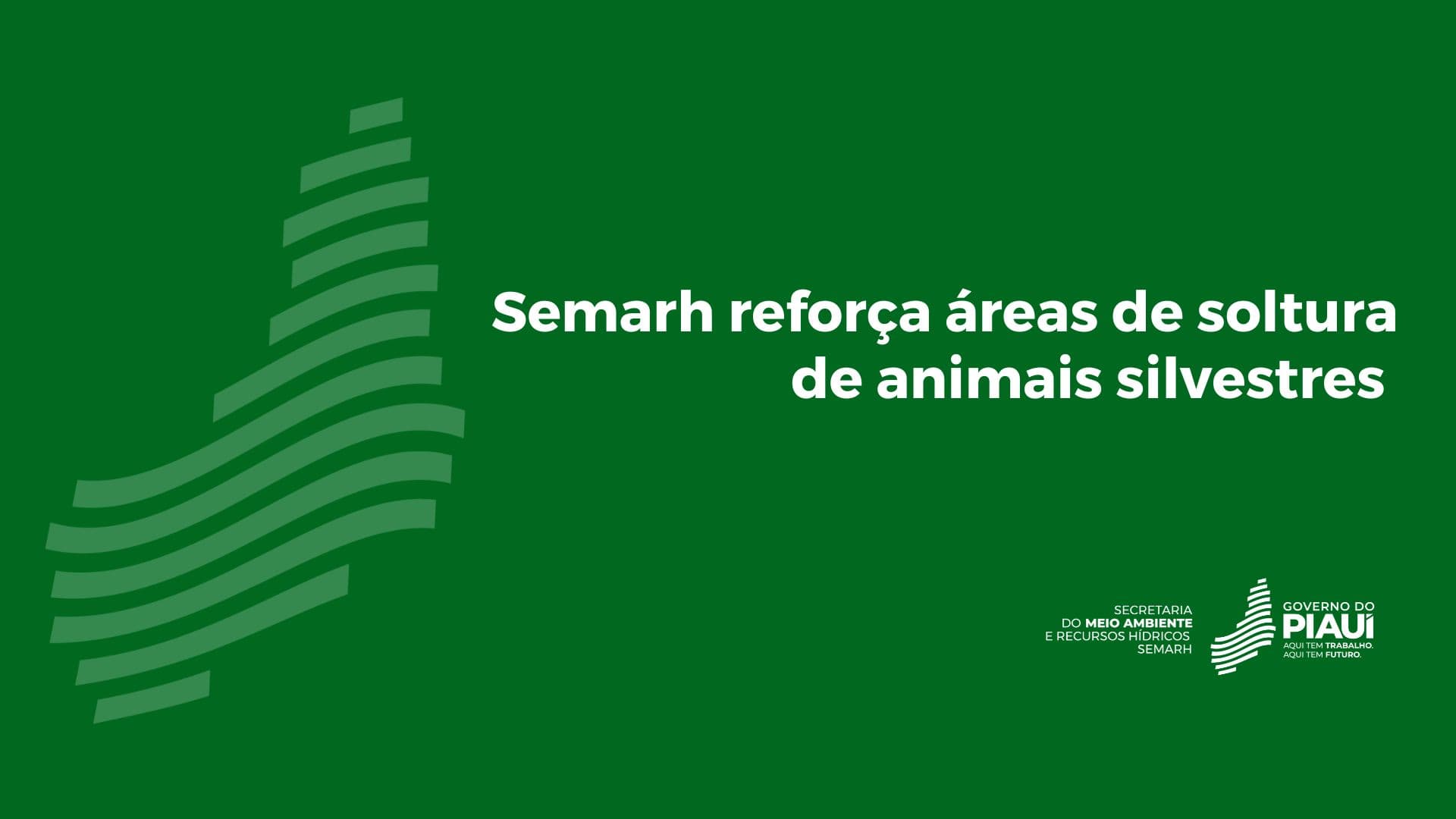 Semarh reforça áreas de soltura de animais silvestres