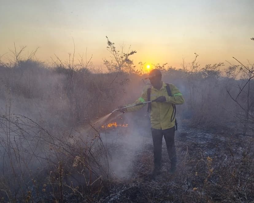 governo-do-estado-proibe-o-uso-do-fogo-em-todo-o-piaui