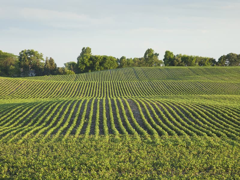 piaui-e-o-estado-do-matopiba-que-menos-emitiu-co2