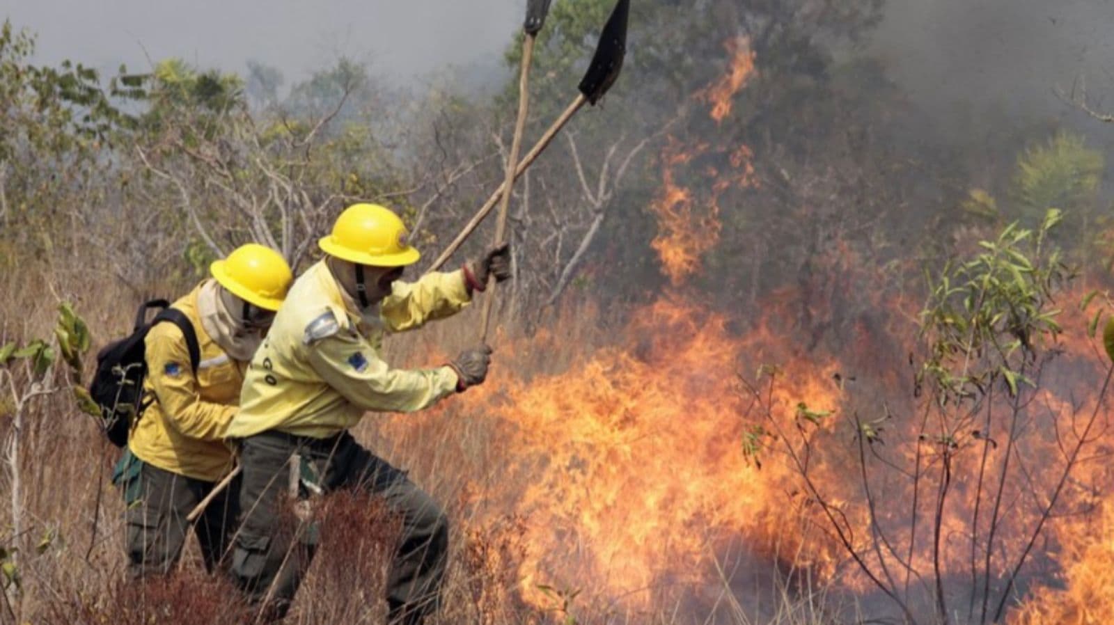 Semarh entrega novos equipamentos de EPI's e material de combate a incêndio florestal a 11 municípios piauienses