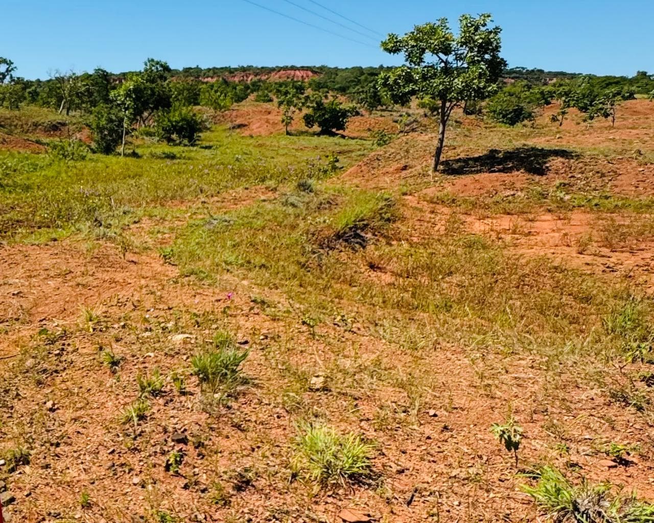 Semarh lança cartilha sobre desertificação e áreas degradadas no Piauí, nesta sexta (08)