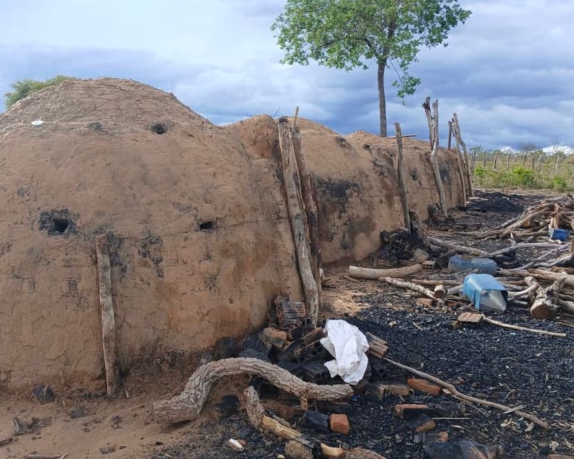 operacao-cerrado-vivo-semarh-desmonta-carvoaria-na-regiao-do-municipio-de-corrente
