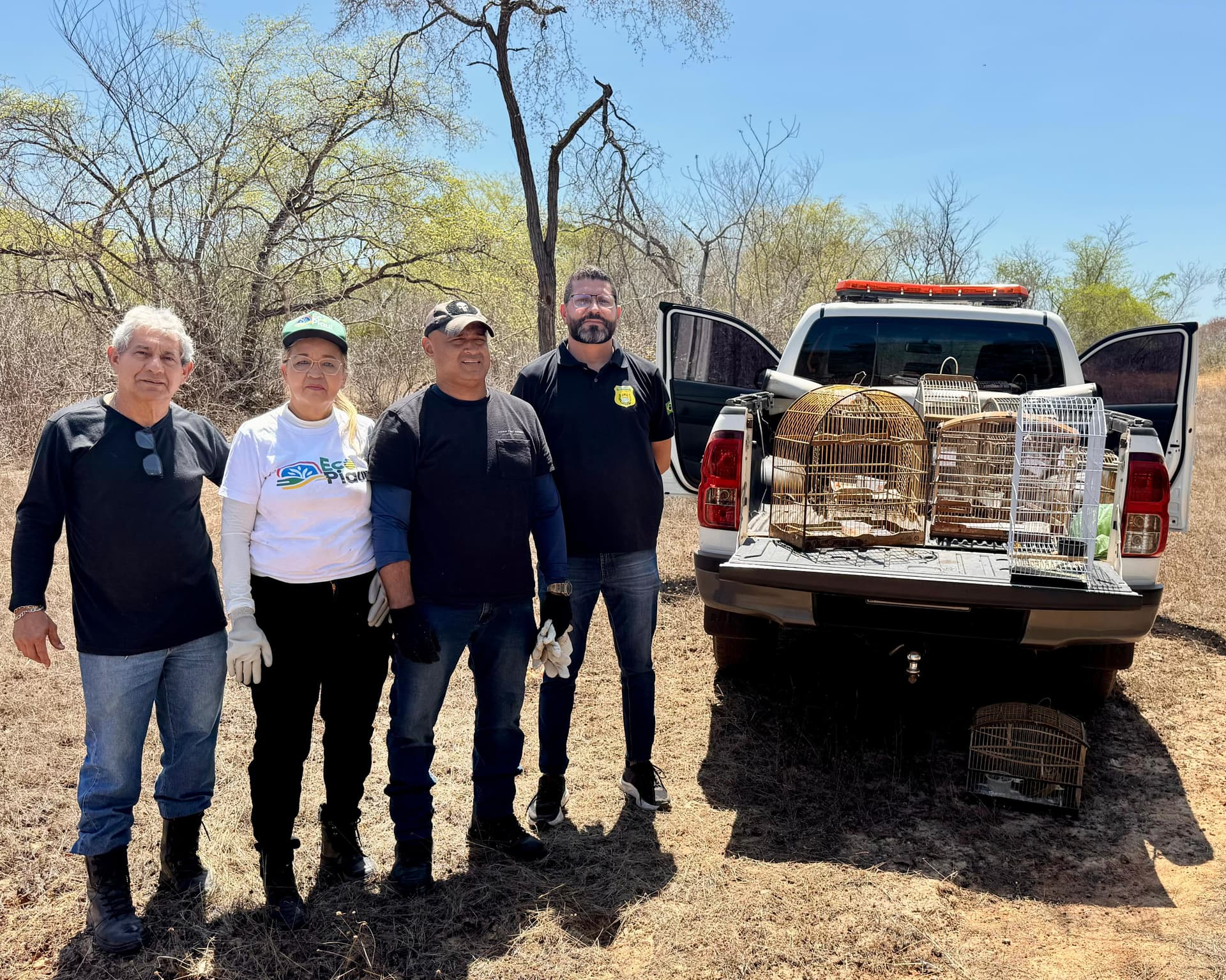 Semarh realiza a soltura de 204 animais aptos a vida livre em 2024