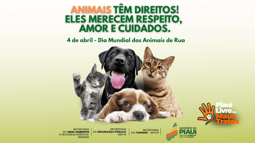 campanha-contra-maus-tratos-de-animais-sera-lancada-nesta-sexta-feira-4-em-teresina