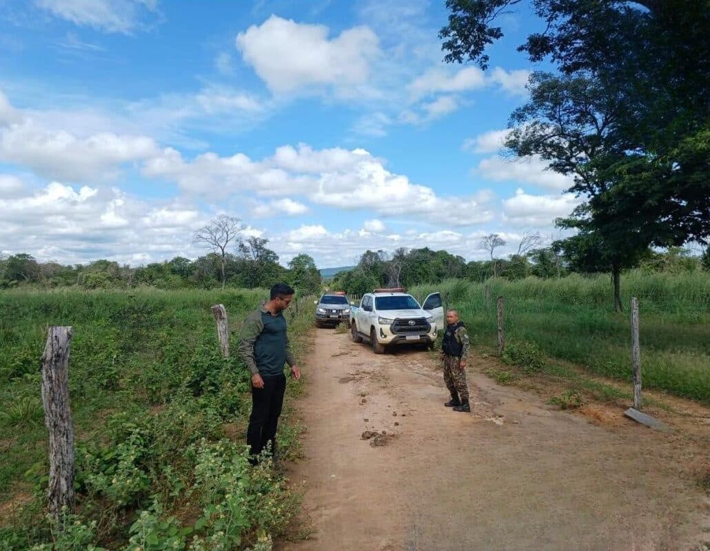 Viaturas em operação
