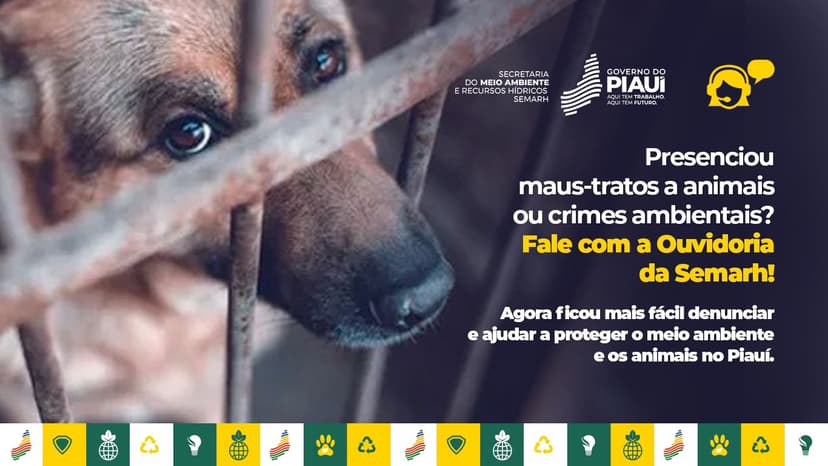 semarh-recebe-130-denuncias-de-maus-tratos-a-animais-em-abril