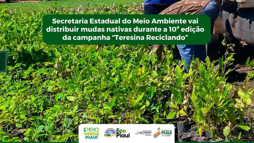 semarh-distribuira-mudas-na-10a-edicao-da-campanha-teresina-reciclando