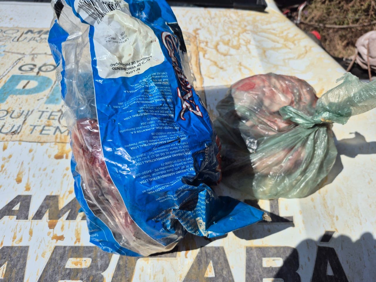 Na ação, foram apreendidas uma espingarda calibre 32 e duas “caças” já abatidas.