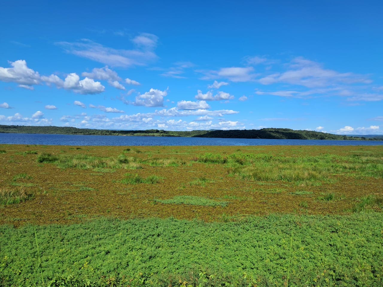 Imagens de satélite indicam o desprendimento das algas em 19 de março de 2025.
