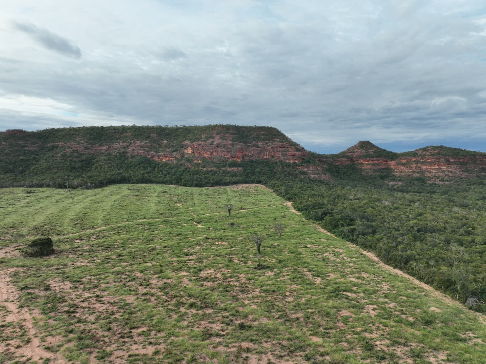 Operação da Semarh aplica multas milionárias contra desmatamento ilegal no sul do Piauí
