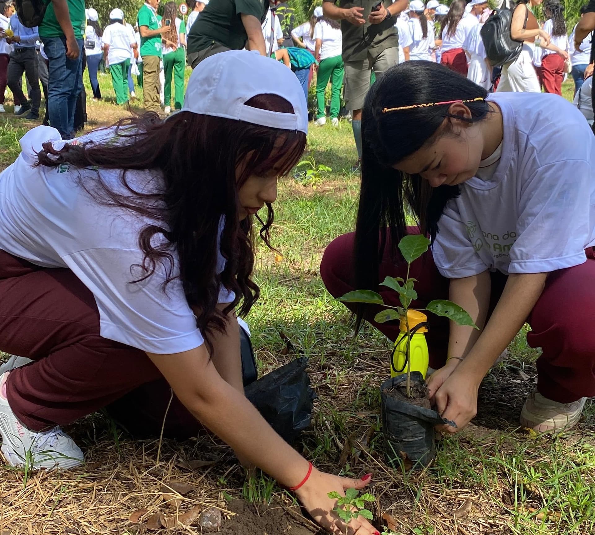 Plantio de 500 mudas de ipê marca início da Semana do Meio Ambiente em Teresina