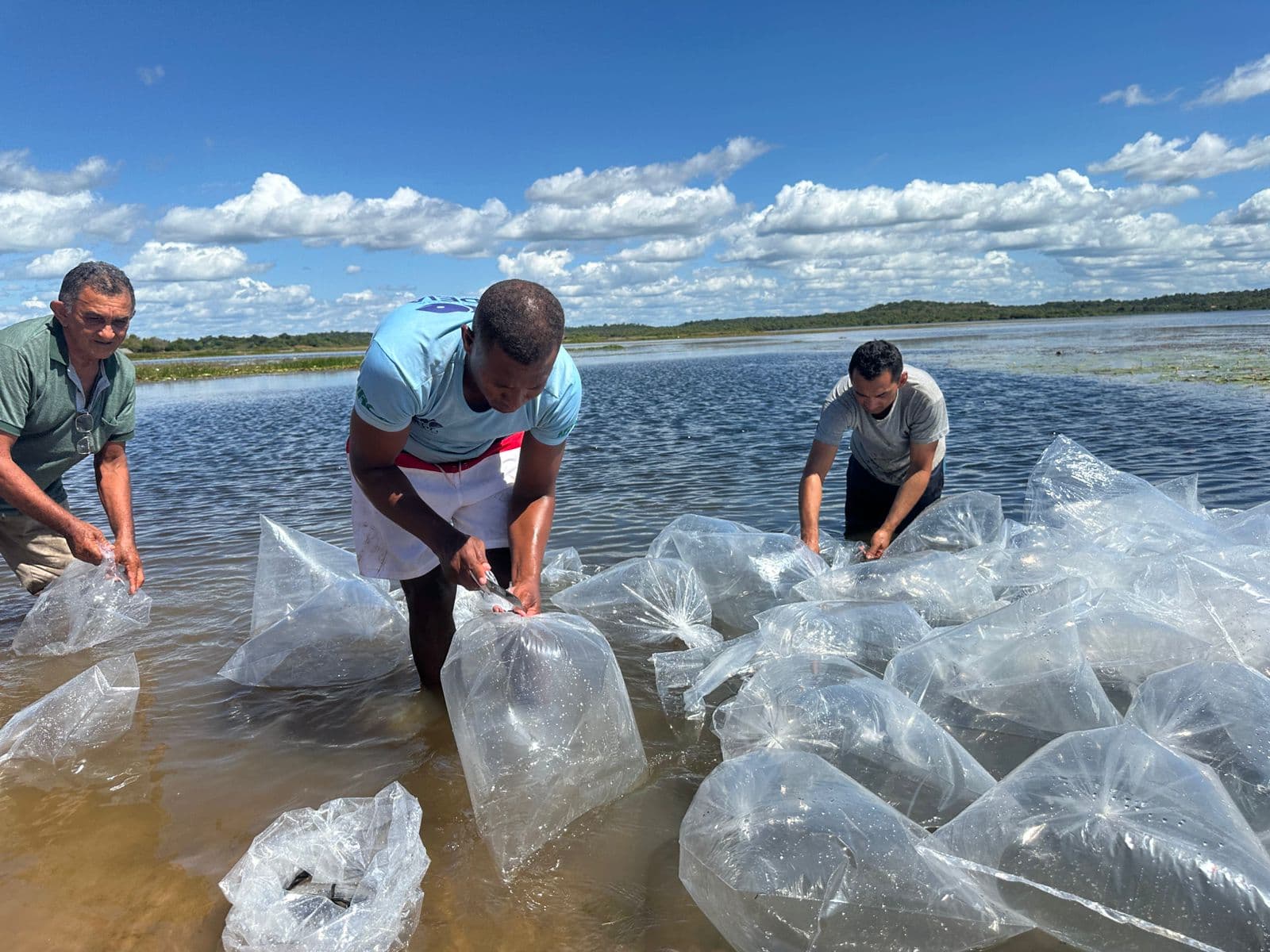A doação faz parte de uma ação maior da Semarh, que entregou mais de 100 mil pós-larvas.