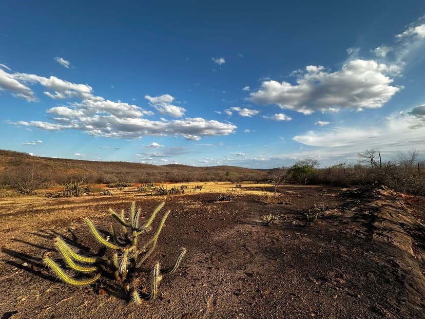 boletim-confirma-avanco-da-seca-no-piaui-e-semarh-lanca-ferramenta-para-acompanhar-situacao-dos-municipios