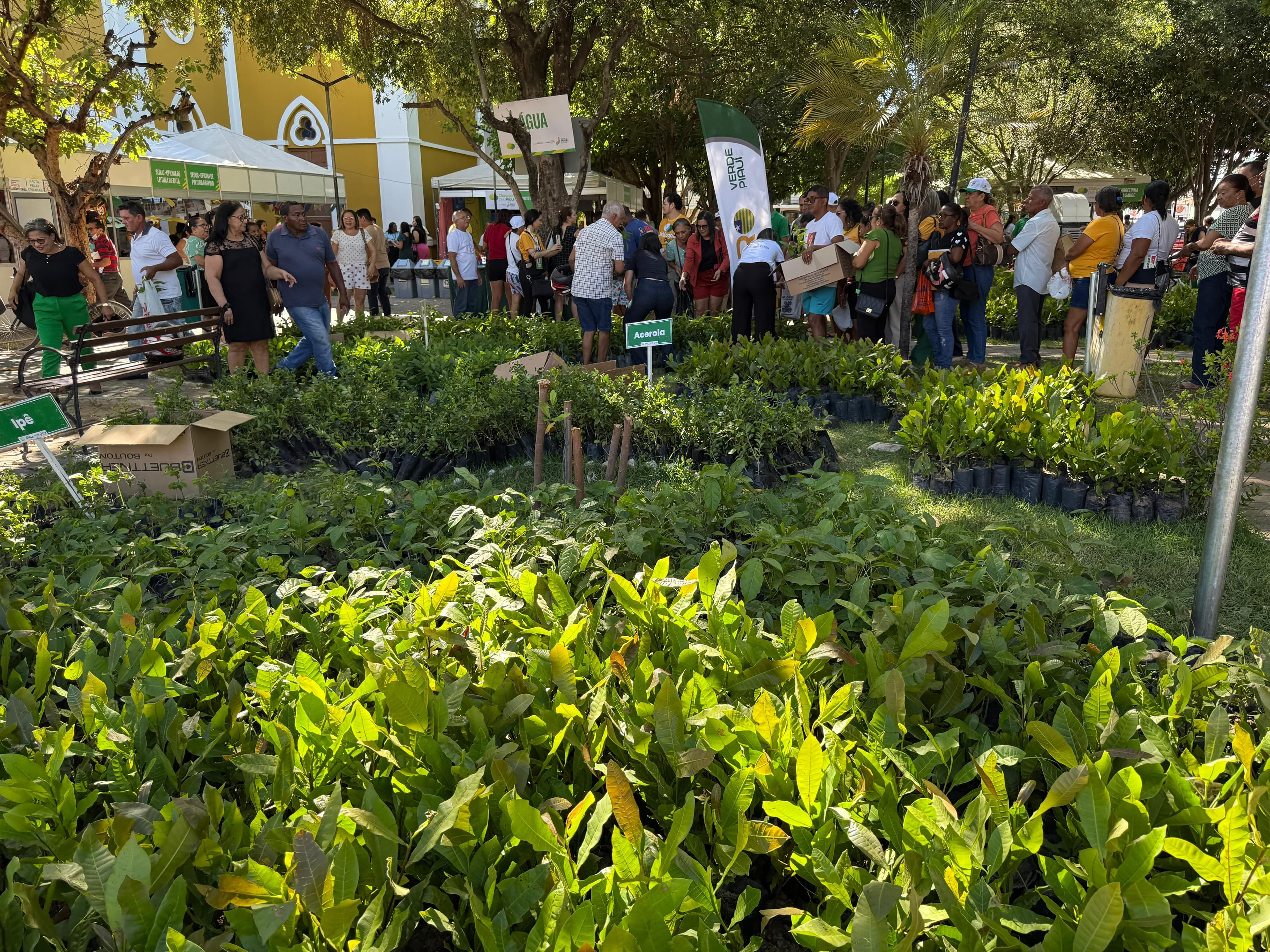 Semarh entrega 20 mil mudas e fortalece ações ambientais no Diálogos pelo Piauí em Floriano.