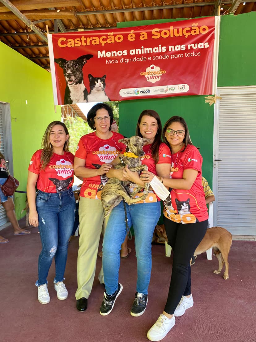 em-apenas-uma-semana-mais-de-100-animais-sao-castrados-em-teresina-e-picos-com-apoio-da-semarh