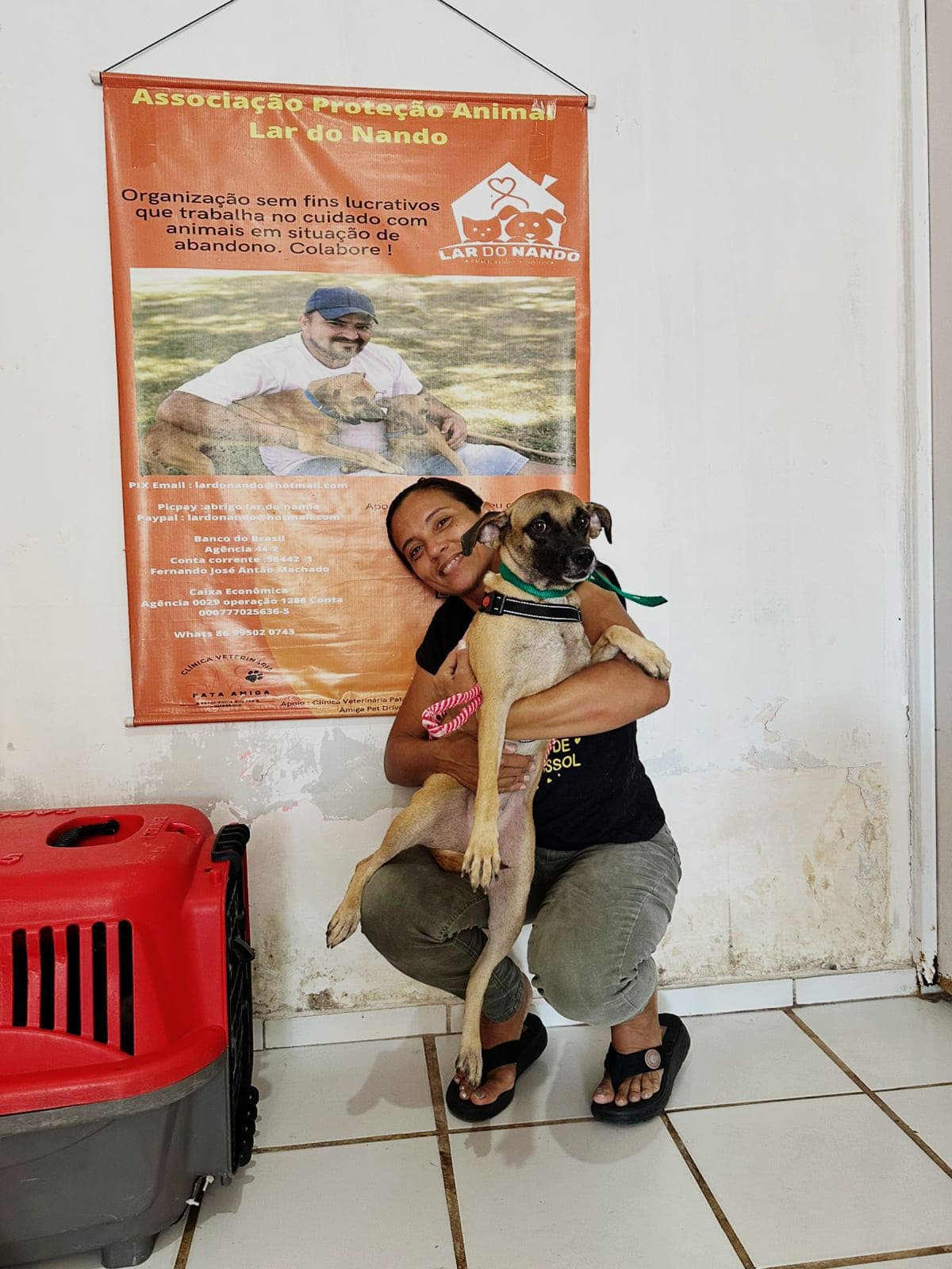 Semarh recebe 420 denúncias de maus-tratos no último trimestre, quase 15% de outros estados