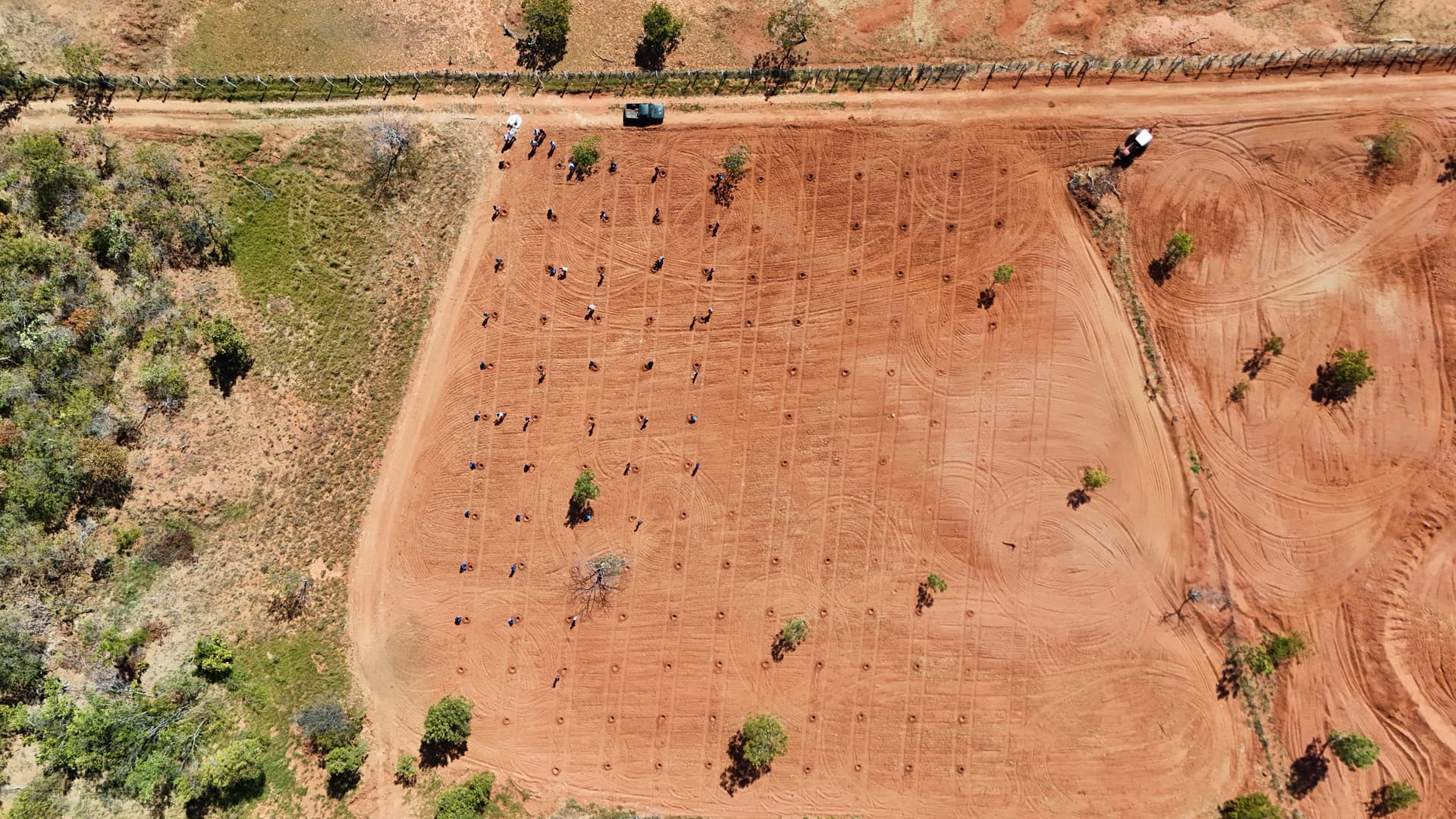 Gel natural criado no Piauí começa a recuperar solo degradado em Gilbués