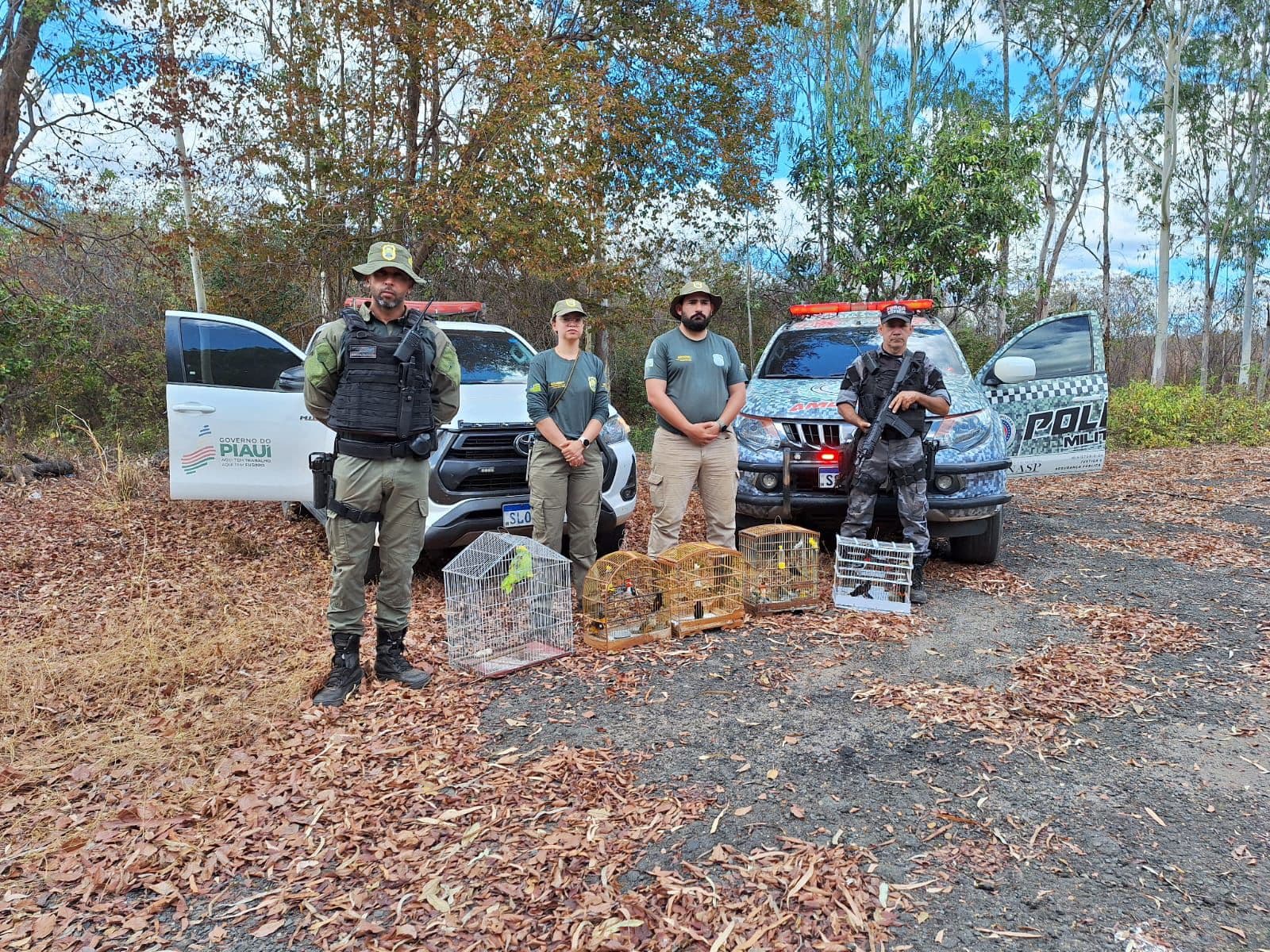 Animais silvestres são devolvidos à natureza no Piauí — e nova soltura acontecerá nesta terça em Curimatá