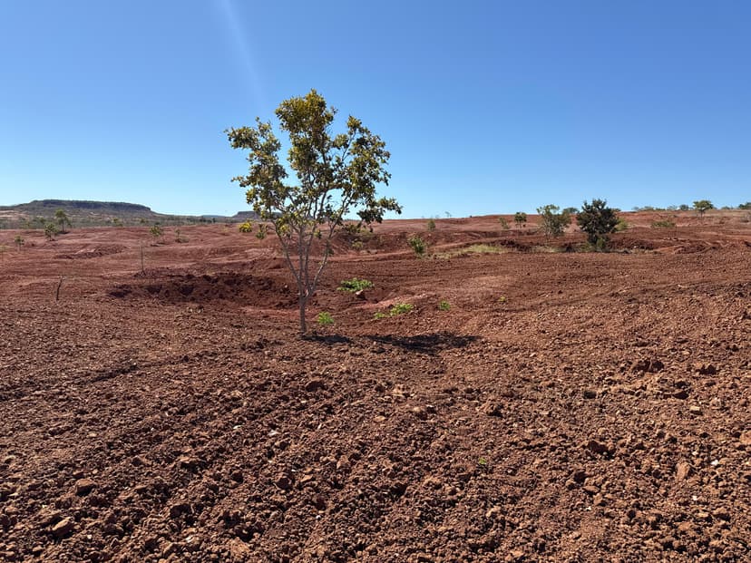 tecnologia-piauiense-transforma-solo-degradado-em-gilbues-com-gel-natural-inovador