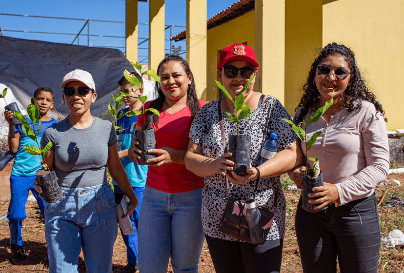 mais-de-66-mil-mudas-ja-foram-adotadas-por-piauienses-em-2025