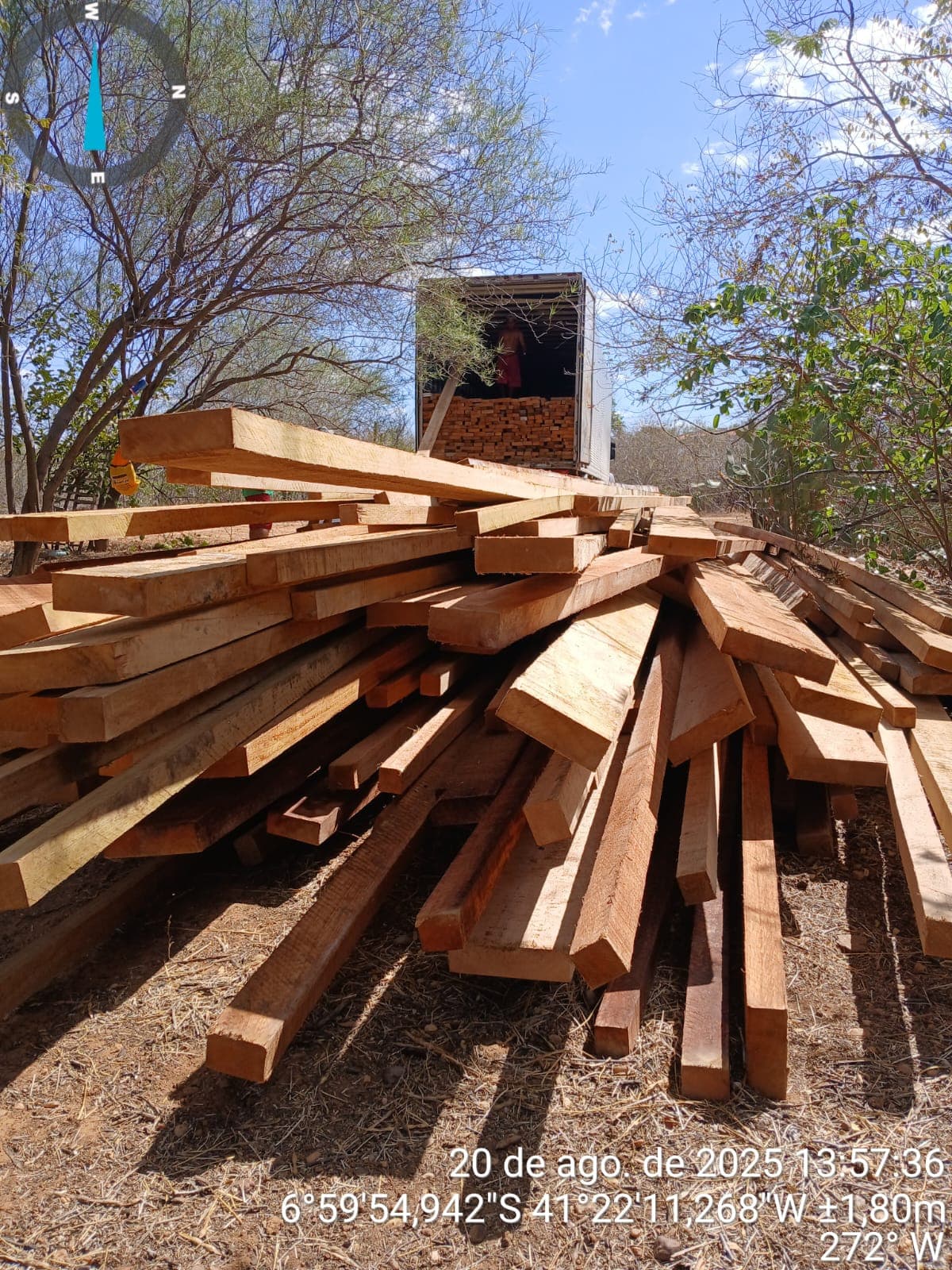O Documento de Origem Florestal (DOF) apresentava divergências entre as espécies declaradas.