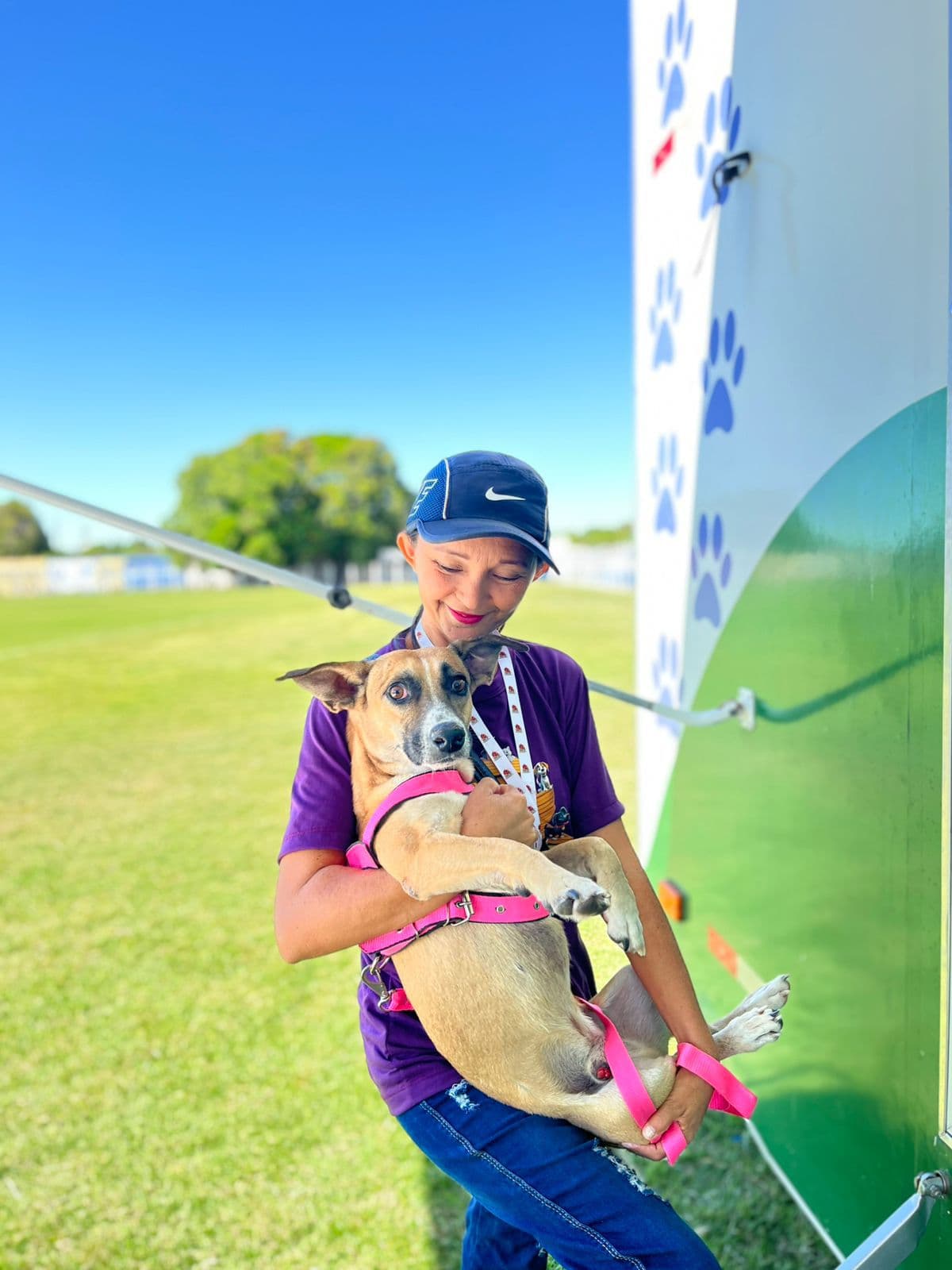 Castramóvel executa primeiras cirurgias de castrações fora de Teresina; ação aconteceu em Altos