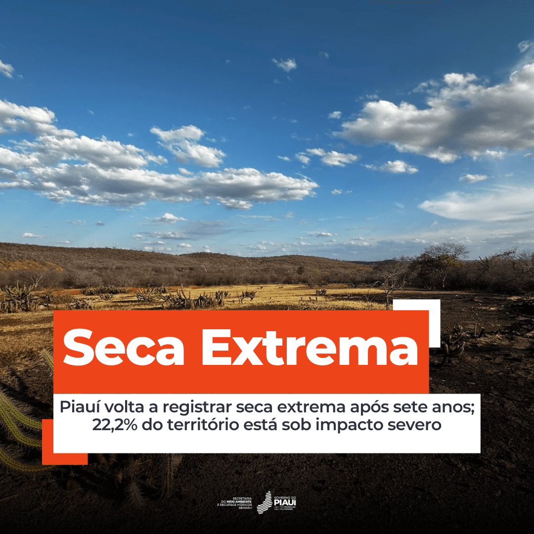 Piauí volta a registrar seca extrema após sete anos; 22,2% do território está sob impacto severo