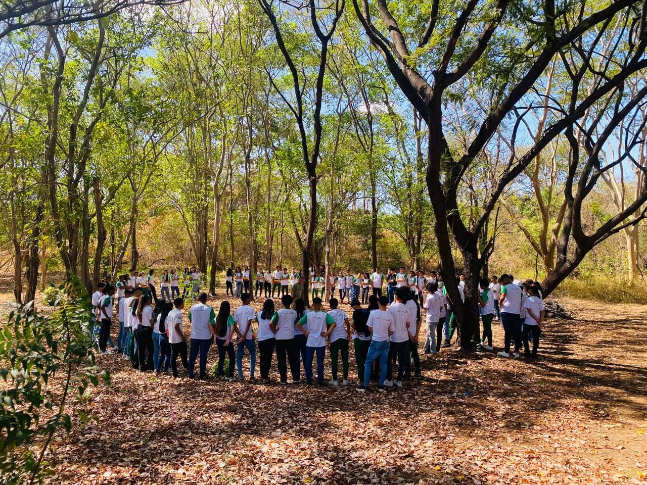 Alunos conhecem Centro de Educação Ambiental e visitam Parque da Floresta Fóssil