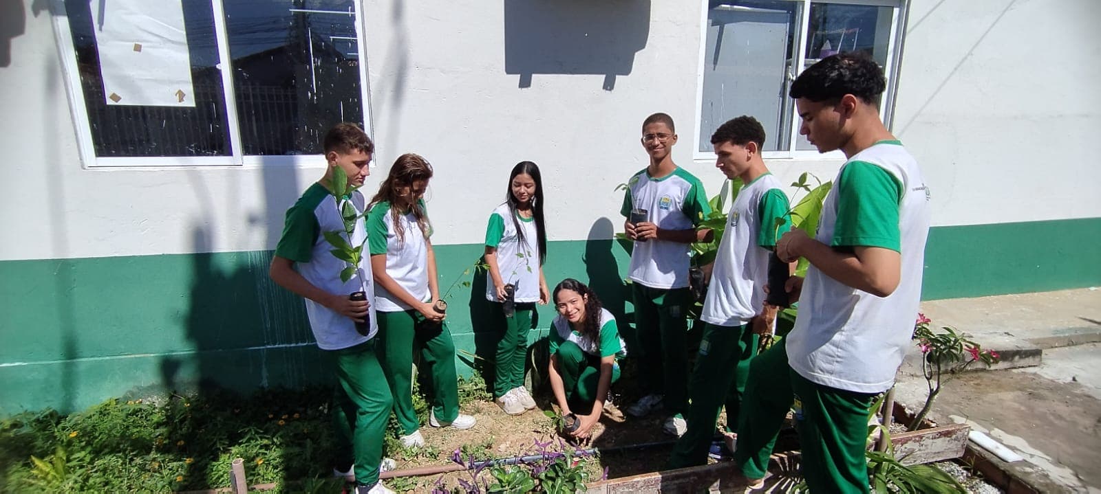 Programa já distribuiu mais de 2,5 mil mudas em ações de educação ambiental nas escolas do Piauí