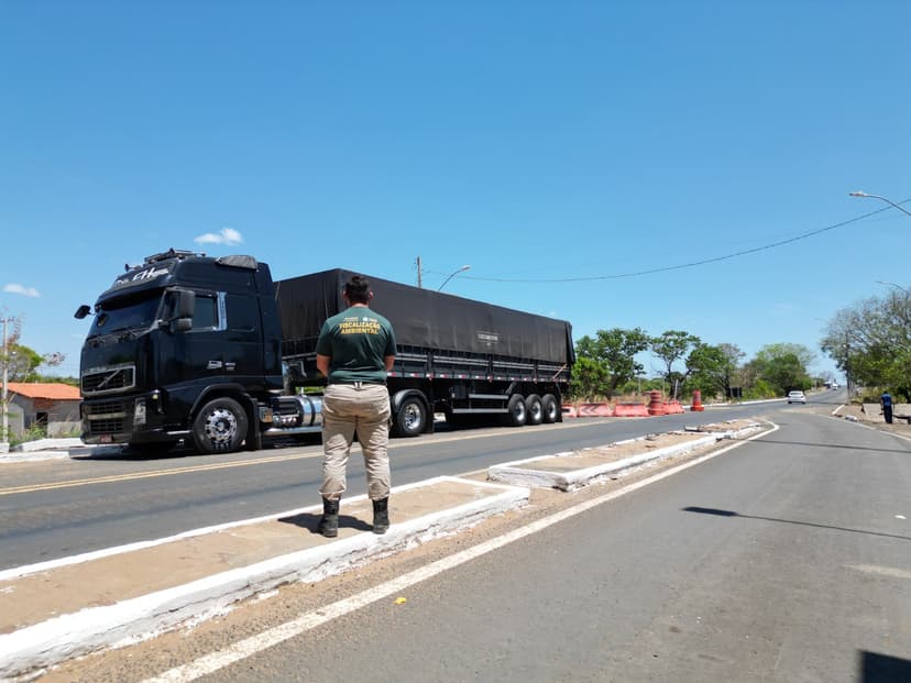 operacao-custodia-naturae-ja-apreendeu-294-m3-de-madeira-ilegal-no-piaui-em-2025