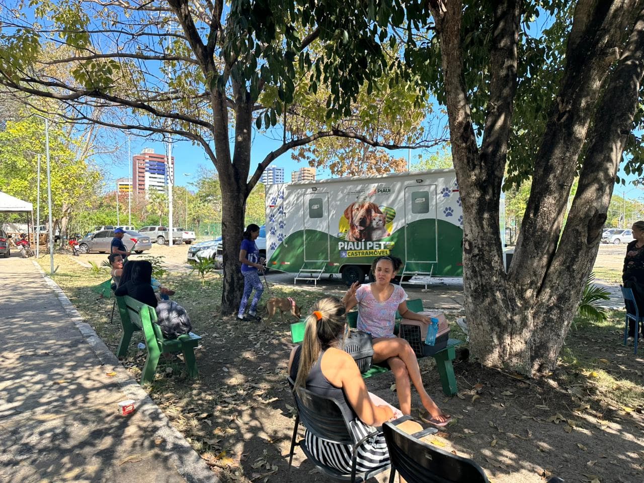 Castramóvel volta a funcionar com primeira ação aberta para a população