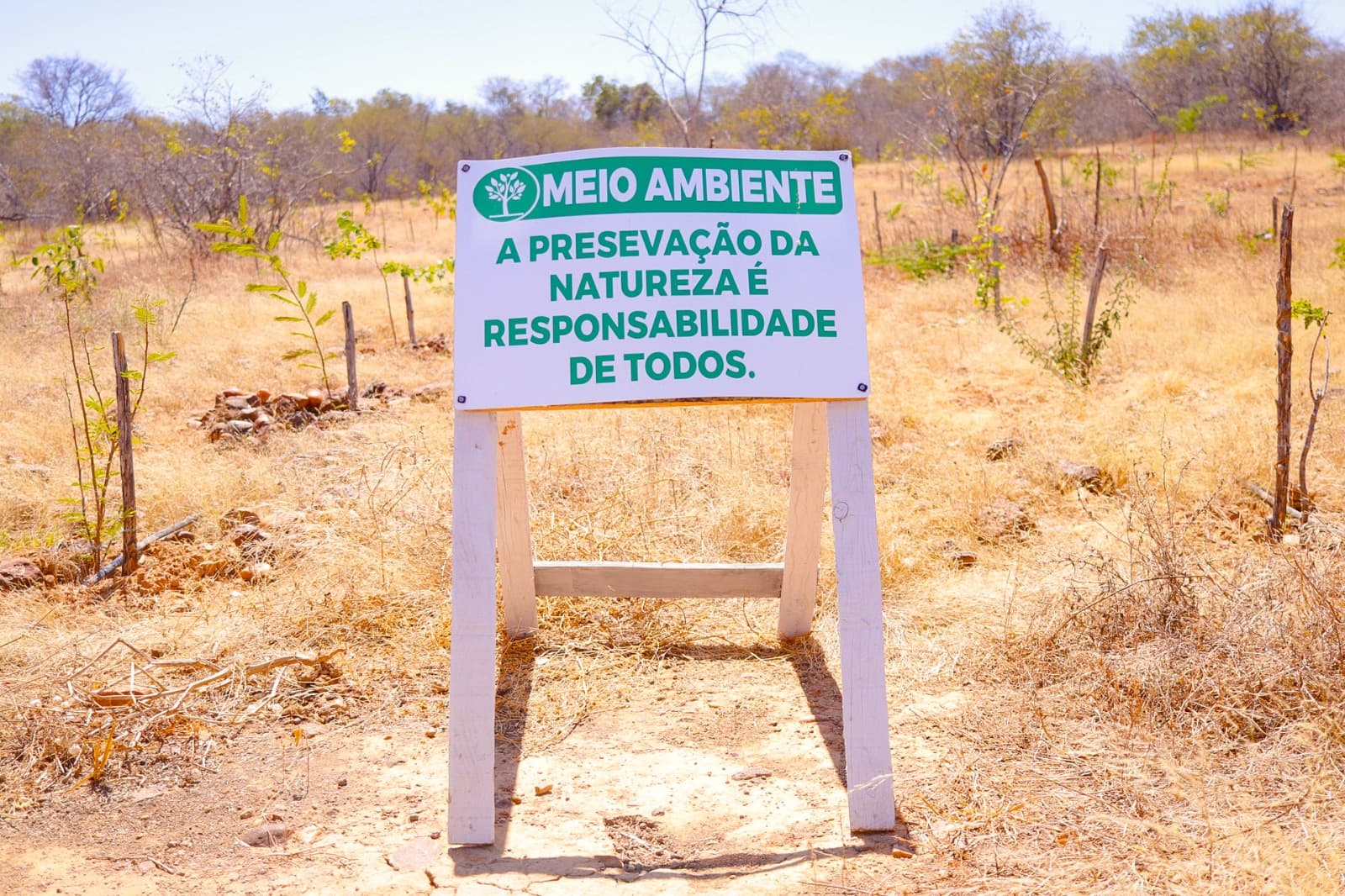 11 de setembro - Dia do Cerrado