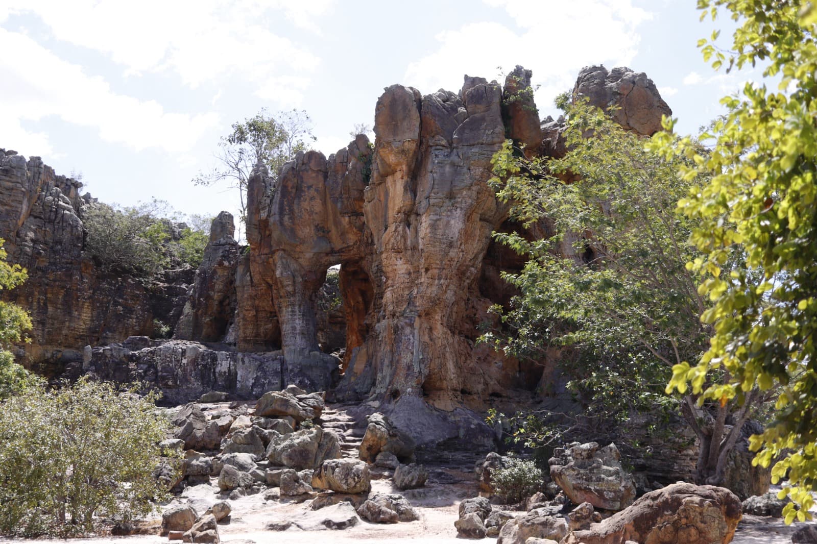 11 de setembro - Dia do Cerrado