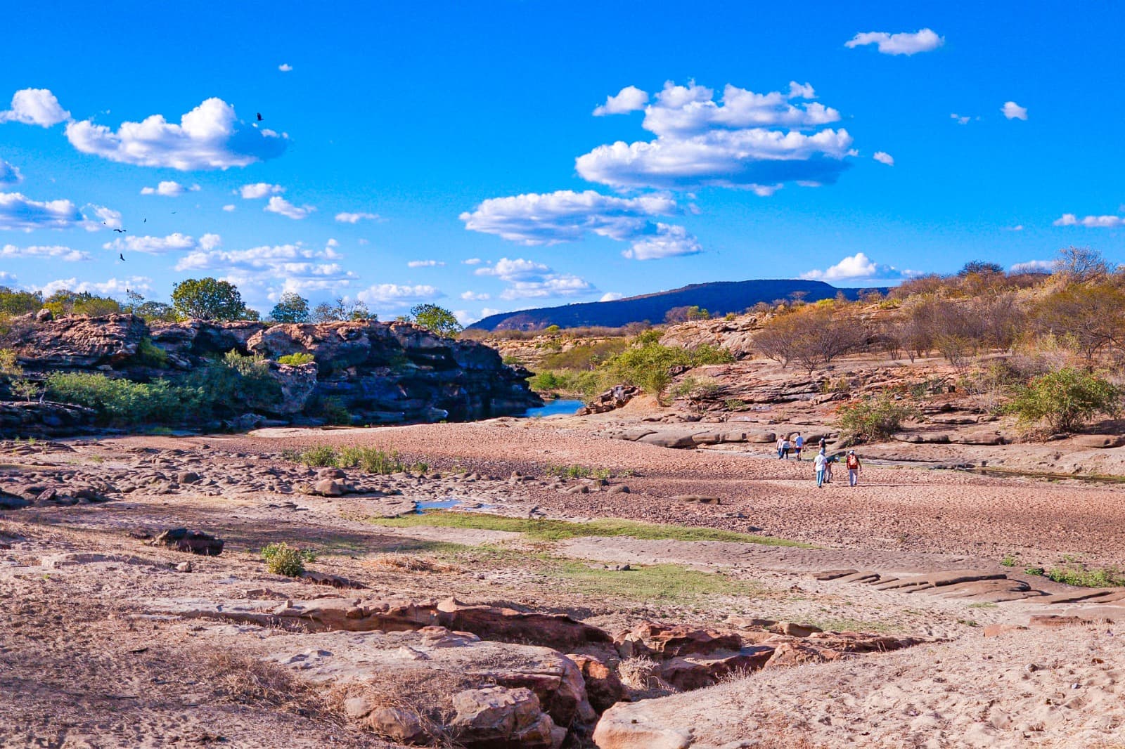 11 de setembro - Dia do Cerrado