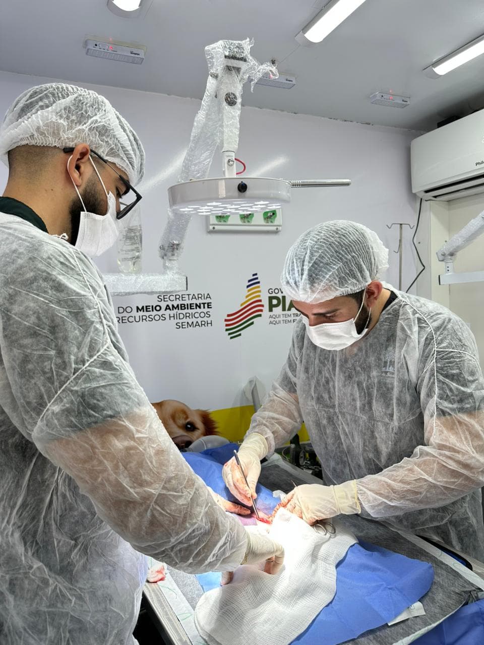 Castramóvel reforça ações de bem-estar animal no CEA e já soma 190 procedimentos em pouco mais de um mês