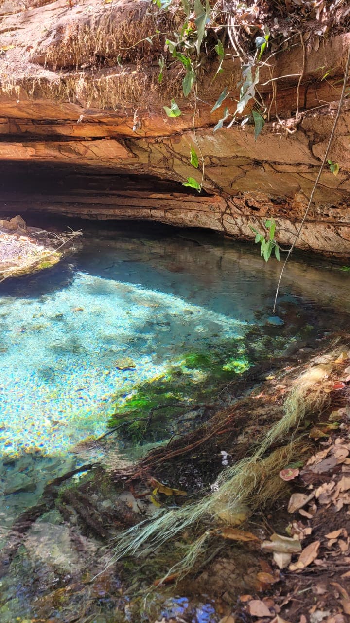 Semarh inicia monitoramento de nascentes no Piauí a partir de Ribeiro Gonçalves