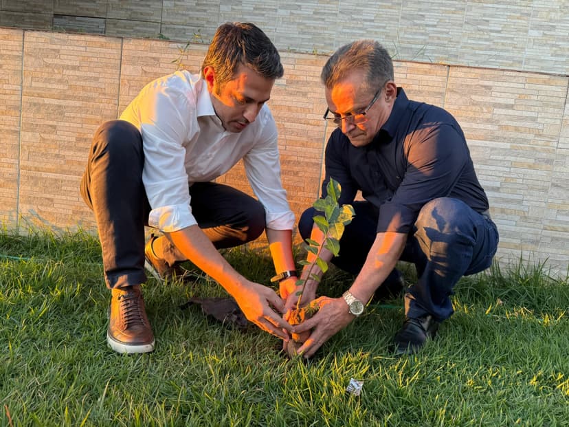 piaui-onde-cada-arvore-plantada-aponta-para-o-futuro