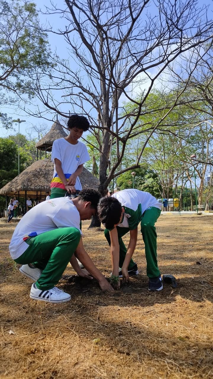 Blitz, plantio de mudas e limpeza do Rio Poti marcam Dia da Árvore e Dia Mundial da Limpeza