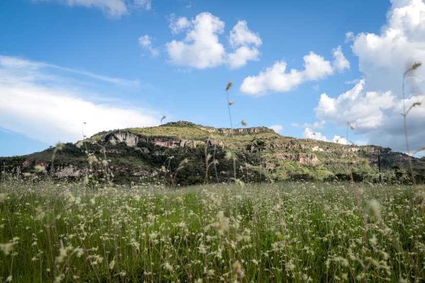 caminhos-de-santo-antonio-quando-a-trilha-e-tambem-um-gesto-de-futuro