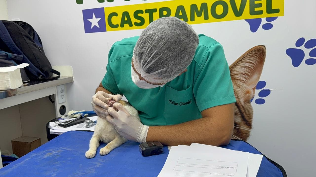 Castramóvel deixa uma marca: a de que o respeito aos animais é parte essencial de uma sociedade mais justa, sustentável e humana.