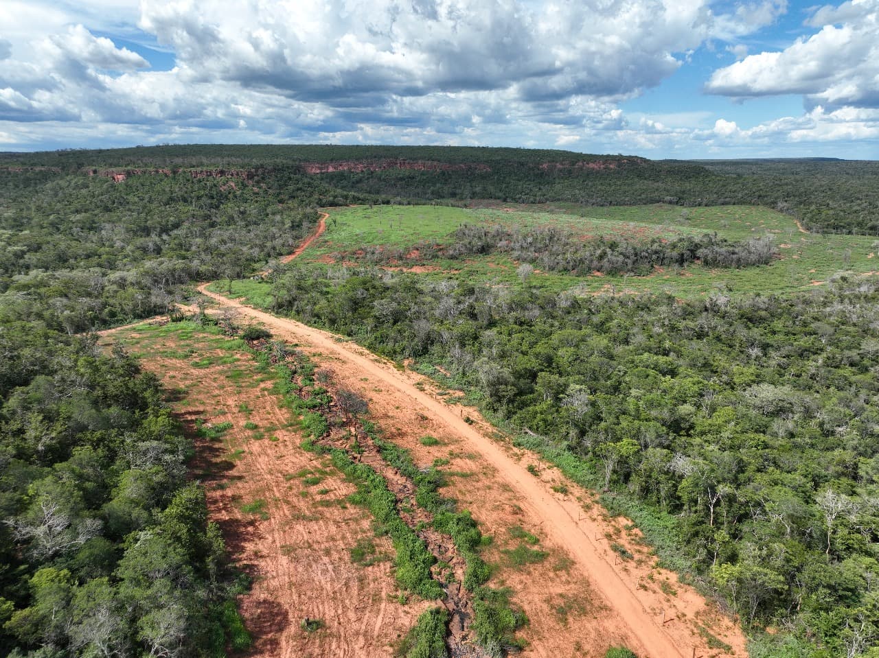 Do primeiro para o segundo trimestre, o desmatamento caiu de 4,9 mil hectares para 4,6 mil, uma redução de 6,2%.