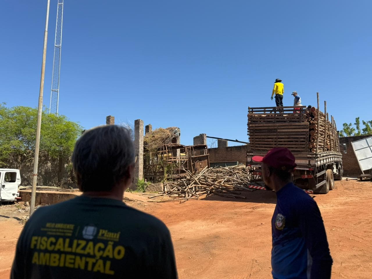 Durante a operação, os auditores ambientais conferiram a documentação florestal (DOF), identificaram divergências entre os dados declarados.